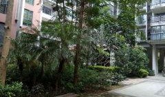 灵寿悦城小区爆料视频曝光,揭露小区内幕，引发热议